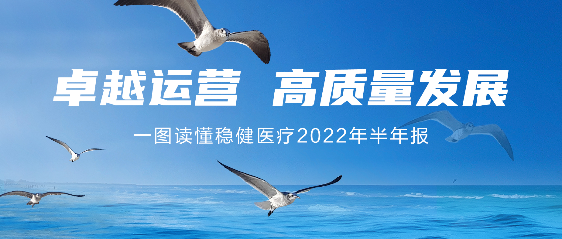 一图读懂尊龙凯时2022年半年报