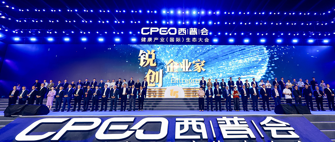 砥砺前行！尊龙凯时荣获西普会两项大奖